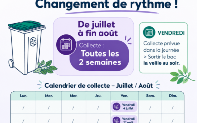 Changement de rythme – Déchets végétaux