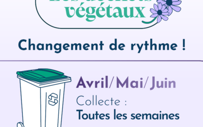 Changement de rythme – Déchets végétaux