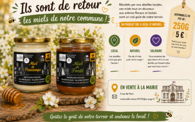 🍯🐝 Ils sont de retour ! Les miels de printemps & de forêt de notre commune sont en mairie ! 🐝🍯